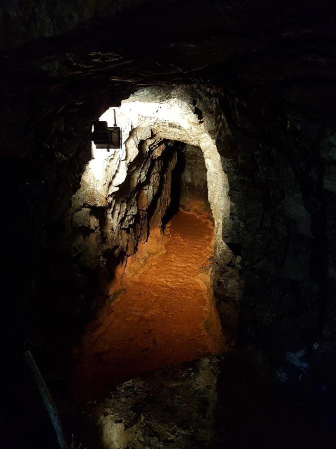 Ferienwohnung An Der Kleinen Schreinerei Hallschlag Экстерьер фото